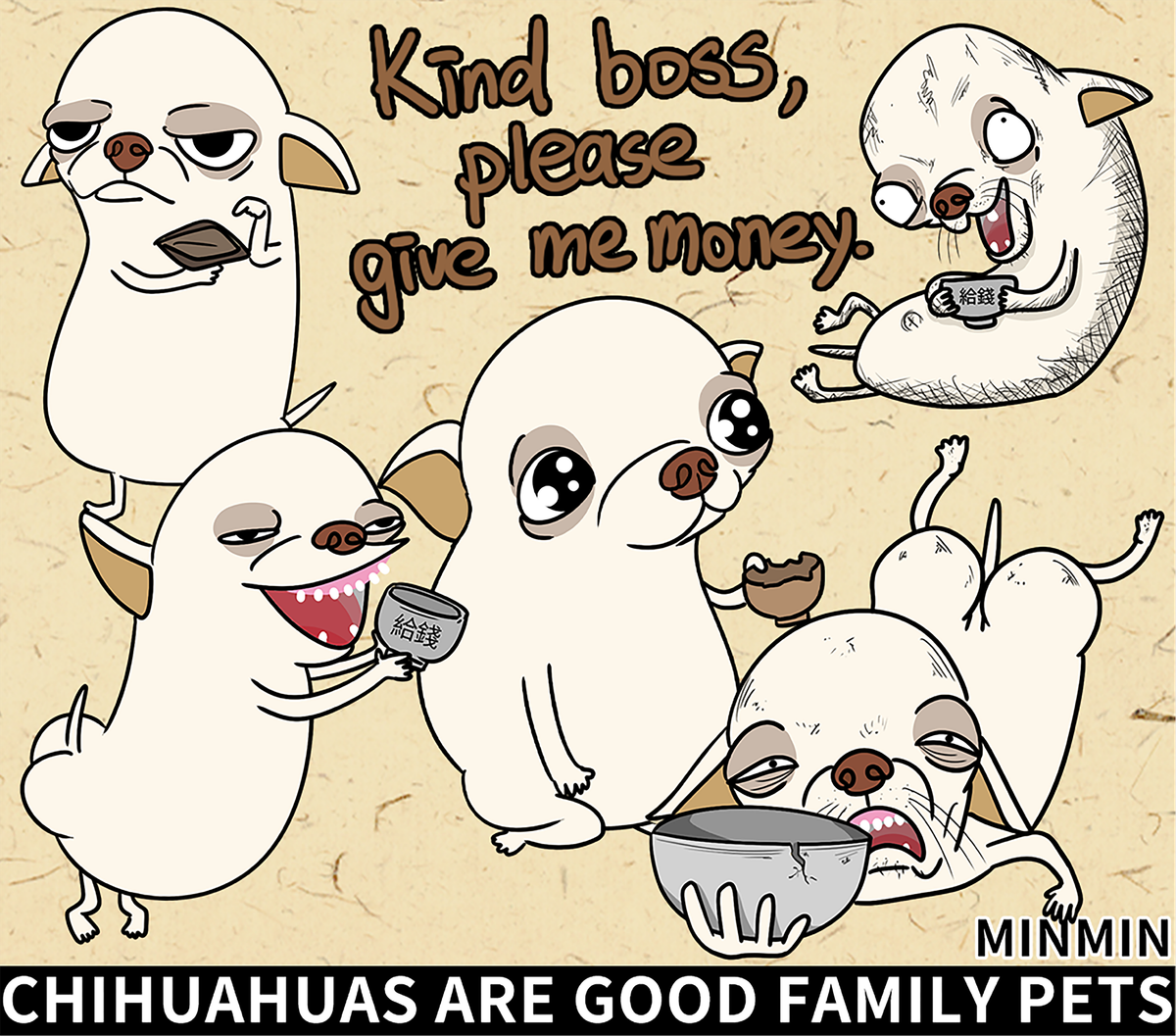 吉娃娃是很棒的寵物狗