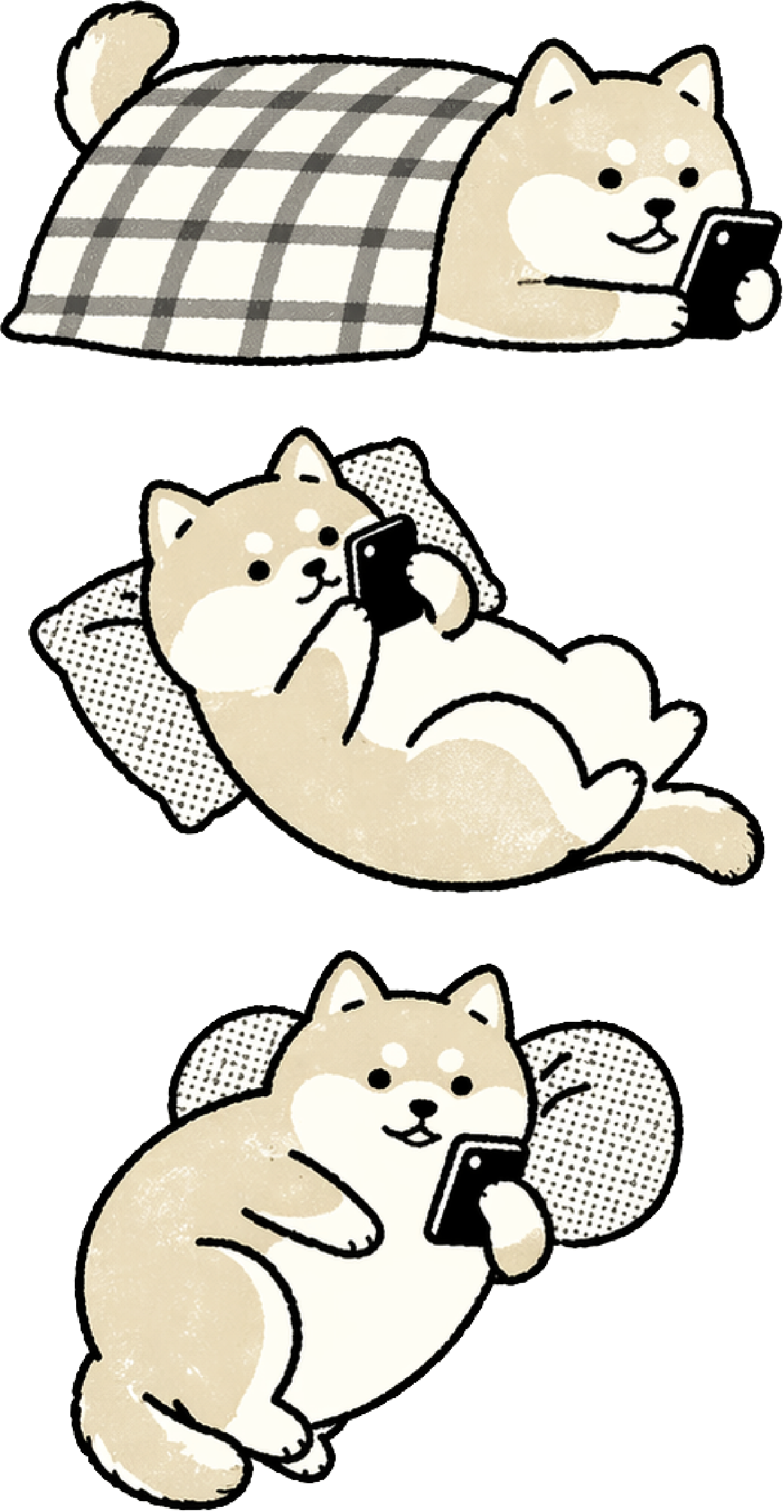狗派